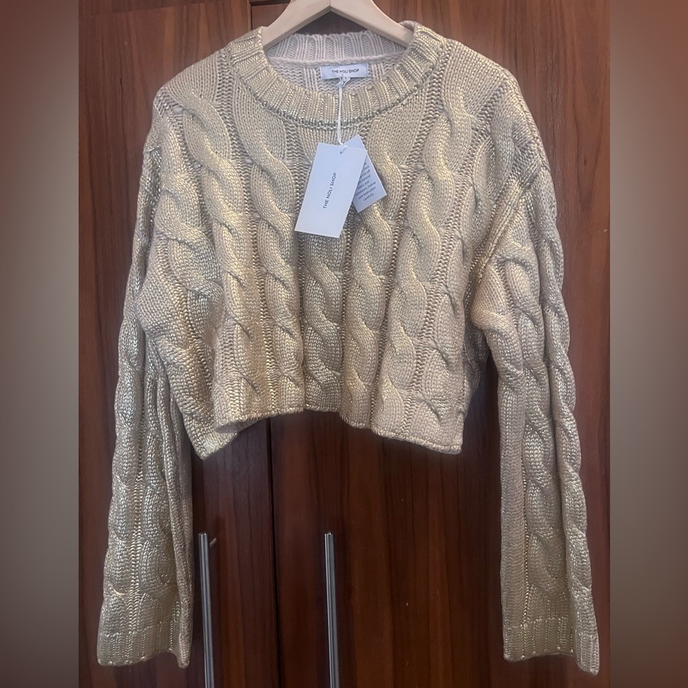 Noli Metallic Knit Cropped Sweater